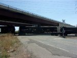 CTCX 256106